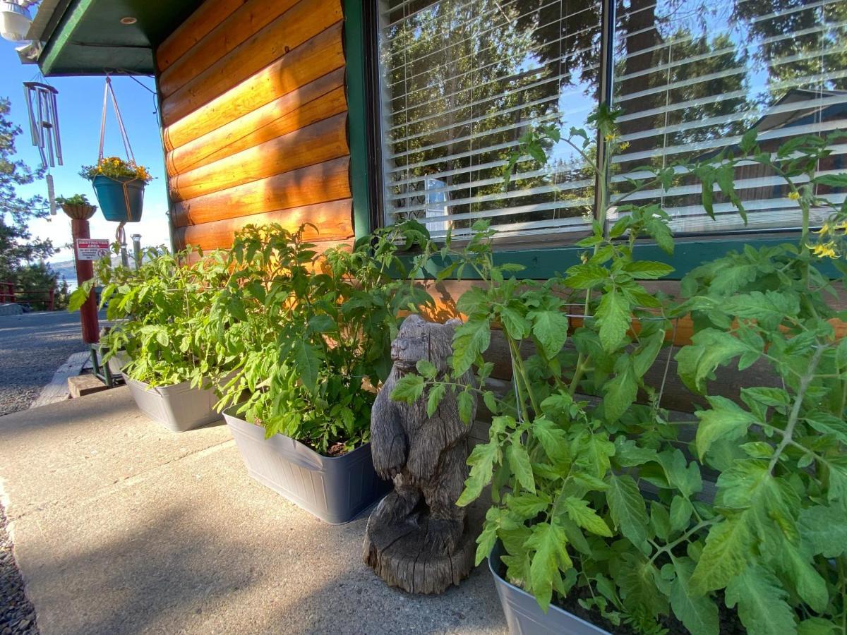 Columbia Point Resort Kettle Falls 外观 照片