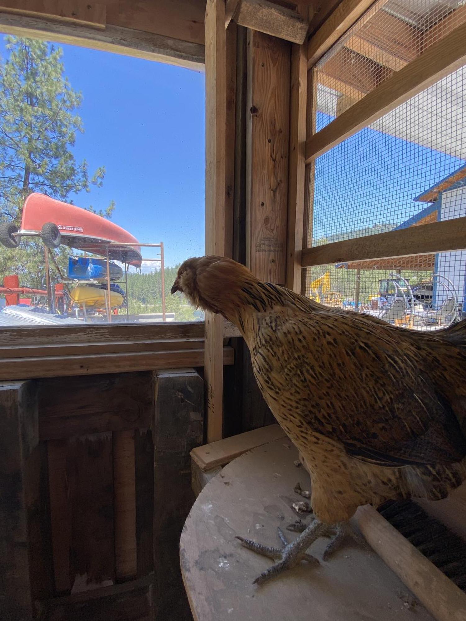 Columbia Point Resort Kettle Falls 外观 照片